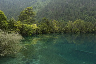 九寨沟清澈碧绿的湖水