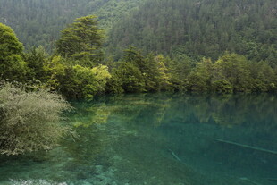清澈碧绿的山林湖泊美景