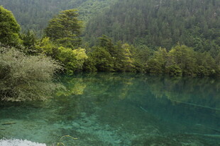 清澈碧绿的山林湖泊美景