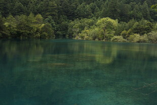 碧绿湖水与葱郁山林