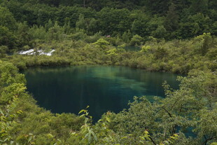 山间幽潭 绿意环绕之景