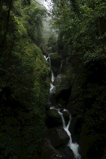 山林间的清幽瀑布景观