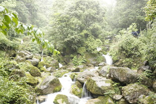 山间溪流处的绿意景致