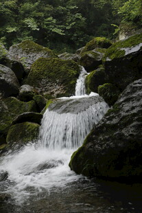 山间小瀑布 绿意环绕之景