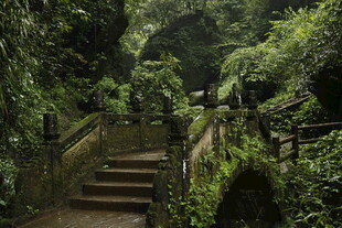 山林间的幽静石阶小道