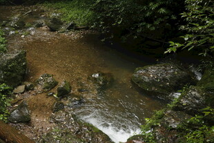 山间溪流潺潺