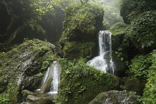 山林间的秀丽瀑布景观
