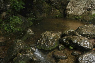 山间小溪潺潺 石边绿意浓