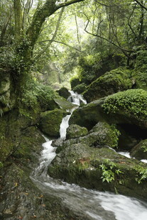山林间的潺潺溪流