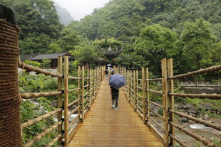 雨中漫步竹林栈道