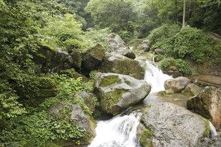 山间溪流穿石而过