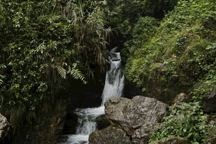 山间瀑布 绿意环绕的美景