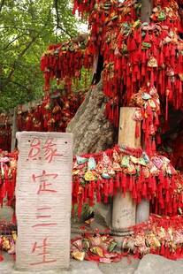 祈福树下祈愿牌满满