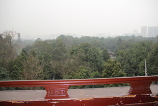 红栏杆外的绿意景致
