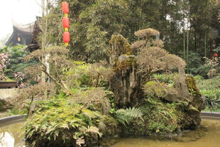 中式园林假山绿植景观