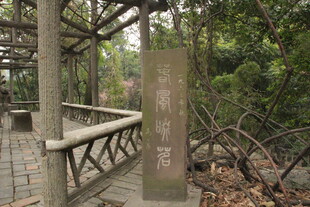 林间木质栈道与标识牌