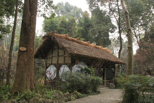 林间古朴小屋静立