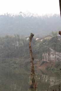 雾中山林景观