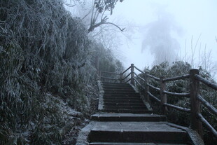 雾中覆雪的山间木质阶梯