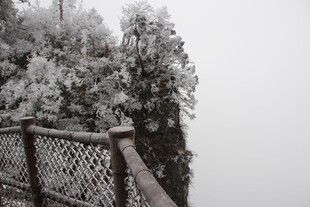 雪覆山林旁的观景围栏