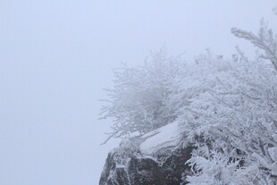 雪覆山巅 银装素裹之景