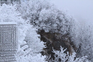 雪覆山林美景