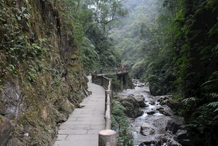 山间小径伴潺潺溪流
