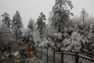雪覆山林间的游人景致