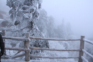 雪覆山林间的木栏景致