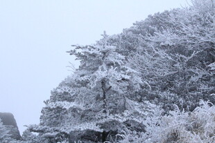 雪覆山林美景