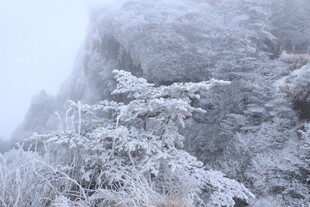 雪覆山峦 银装素裹的美景