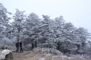 雪覆山林中的徒步者