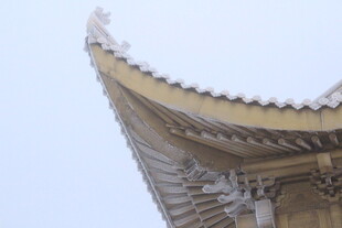 中式古建筑飞檐一角