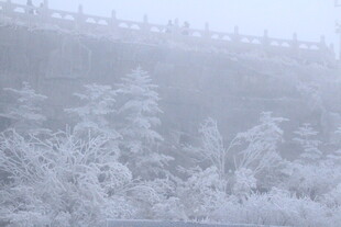 雪覆山林美景