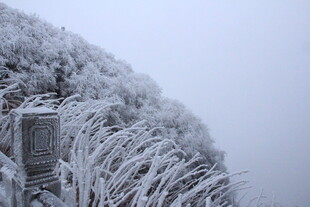 雪覆山峦 雾凇美景