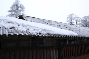 雪覆古瓦 冬日静谧景致