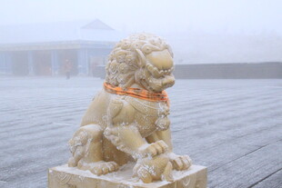 雪中石狮子