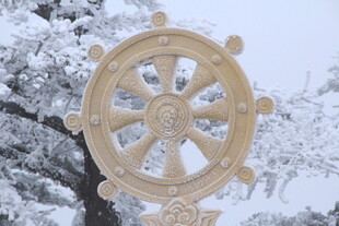 雪中金色船舵雕塑
