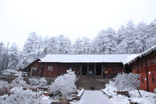 雪覆古建 冬日静谧景致