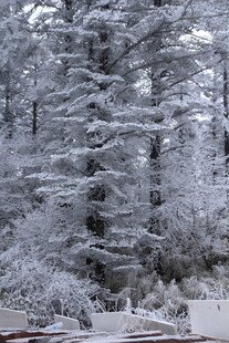 雪覆山林美景
