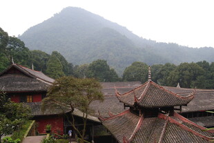 古建群映于青山绿树间