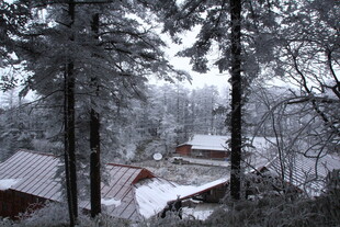 雪覆林间小屋的静谧景致