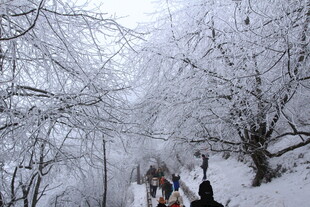 雪中山间行人漫步