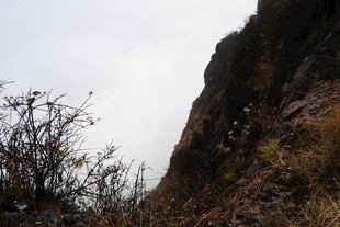 山间峭壁旁的稀疏植被