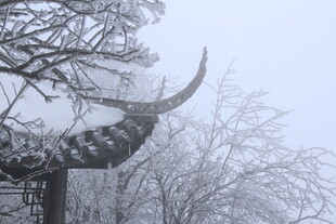 雪覆屋檐与枯树的冬日景