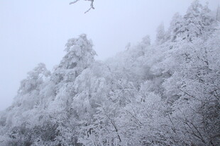 雪覆山林美景