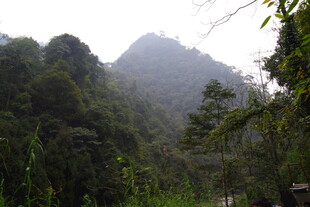 山林茂密的自然景观