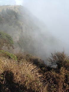 山间迷雾中的枯黄植被