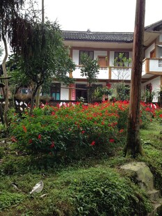 庭院绿植环绕的中式建筑