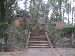 古朴石阶通往林间景致